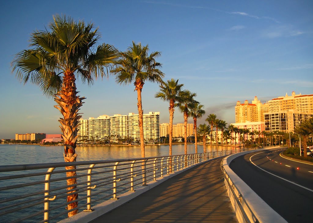 Condo by the bay , Sarasota