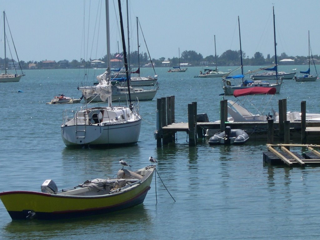 Silent Harbor, Sarasota