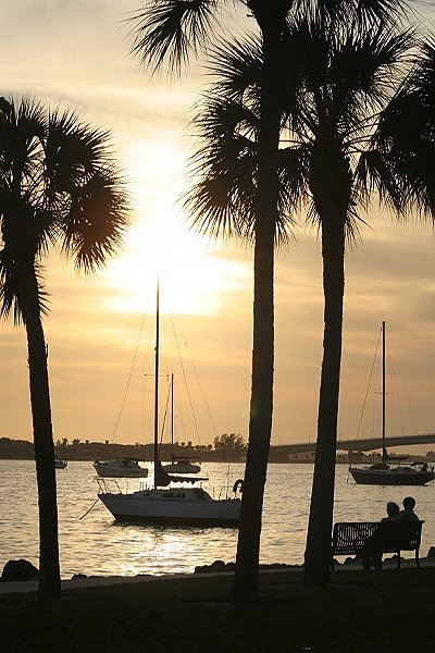 Sarasota Island Park & Marina. Sarasota, FL U.S.A.
