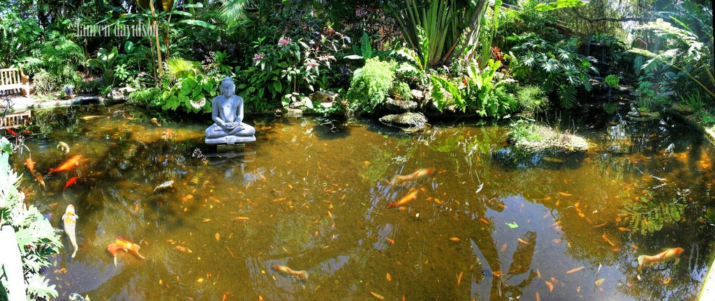 Selby Koi Pond