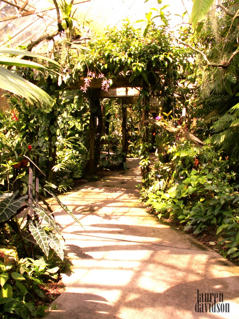 Marie Selby Botanical Gardens Tropical Garden