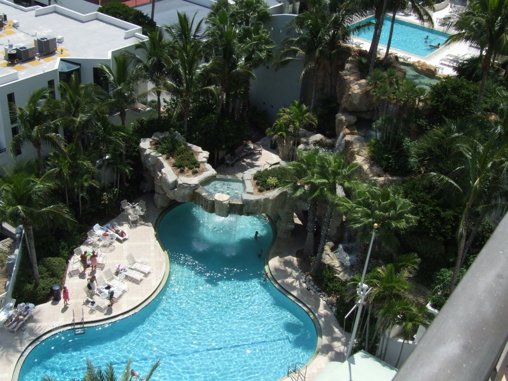 Hyatt Hotel Swimming Pool