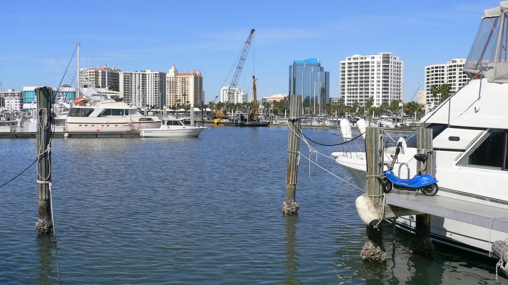Sarasota Harbour