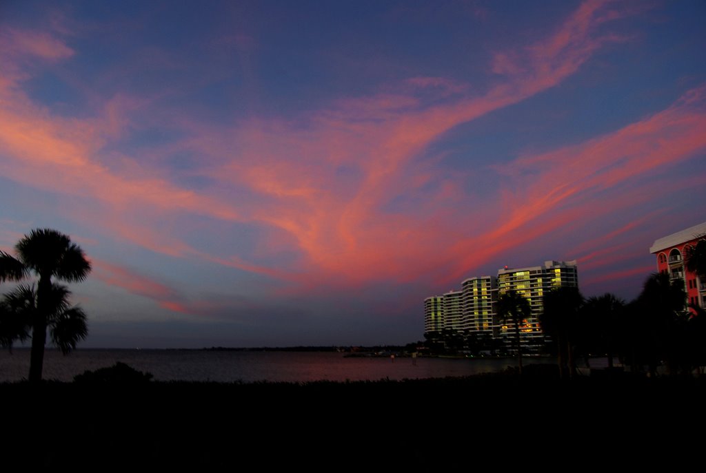 Sarasota color
