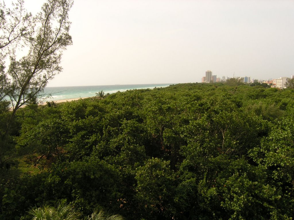 Miami