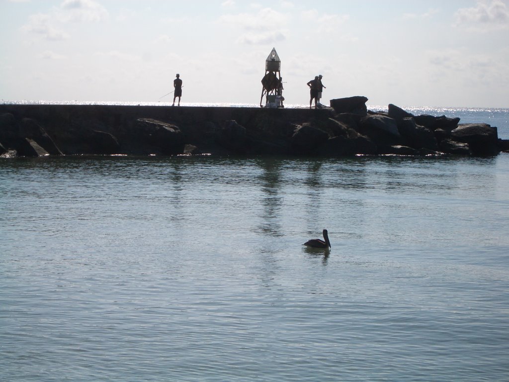 Miami Haulover (FG)