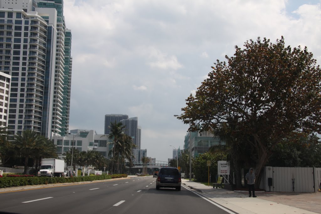 Miami Beach