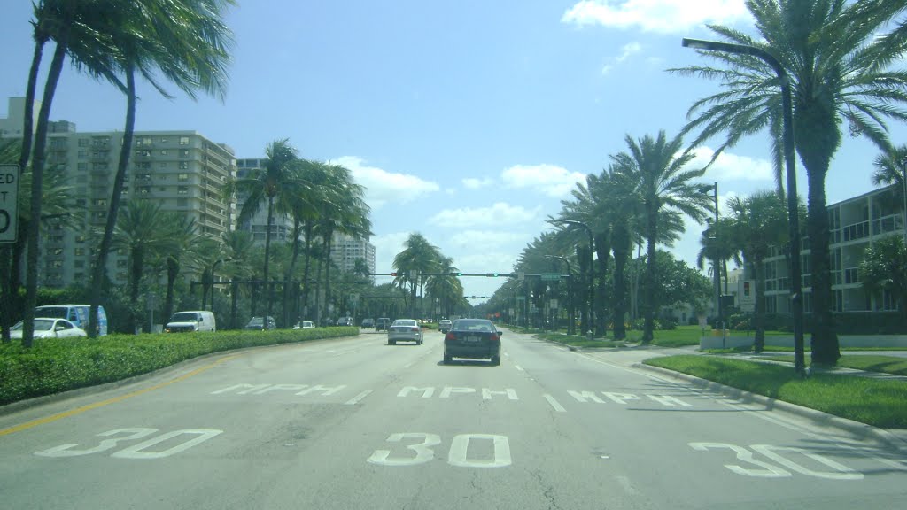 Collins Ave
