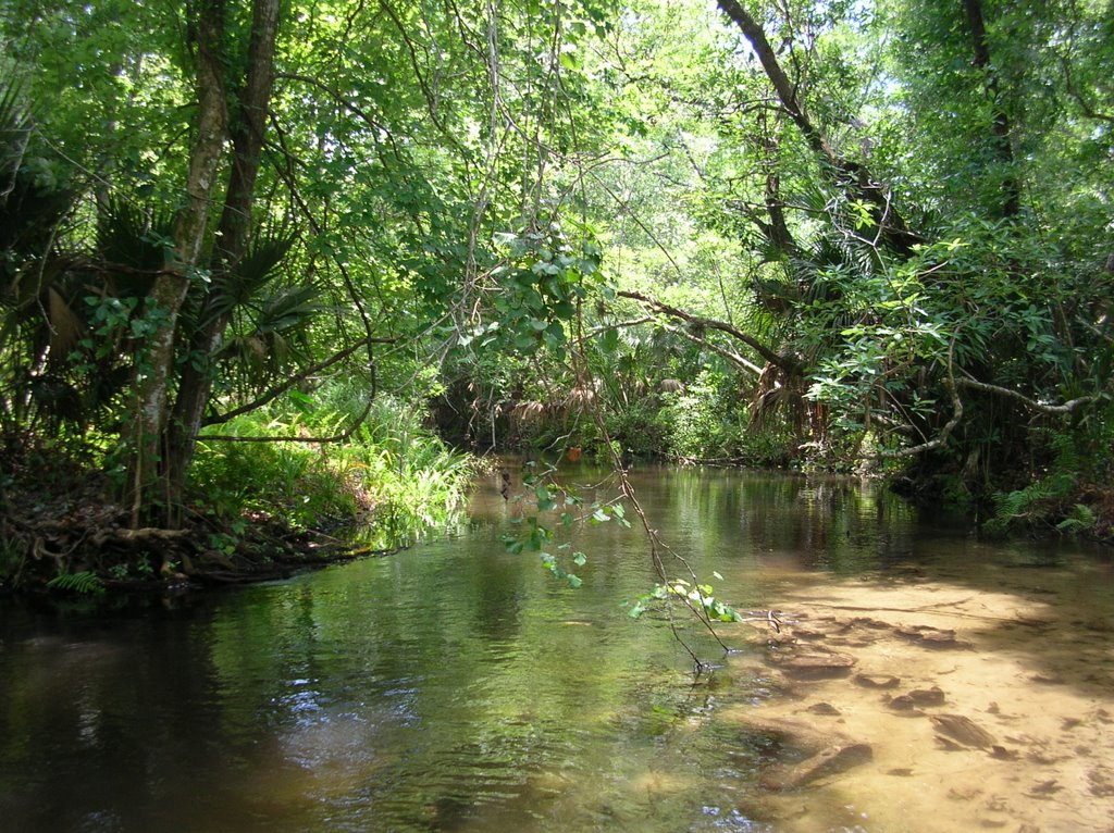 Rock Spring Run Top