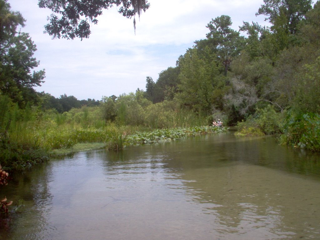 Rock Spring Run Bend