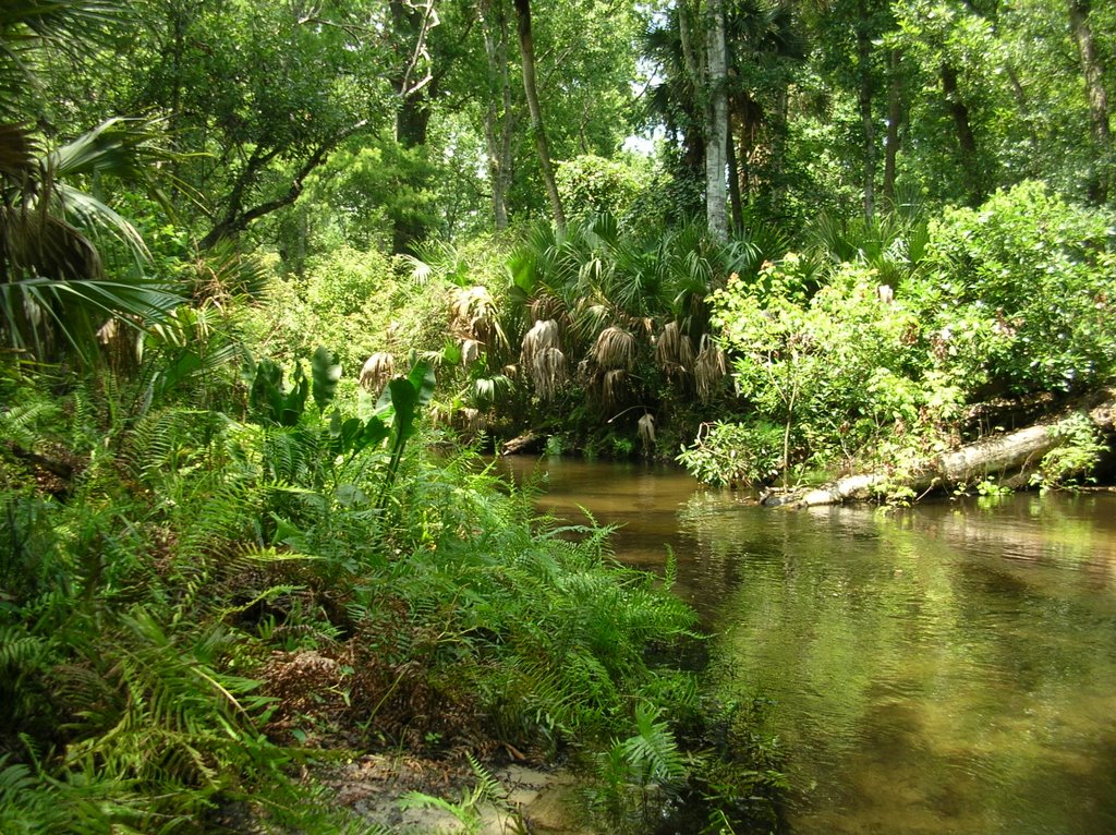 Rock Springs Run Bottom