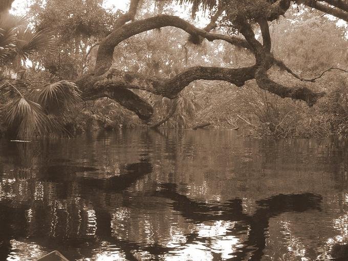 Rock Springs Run