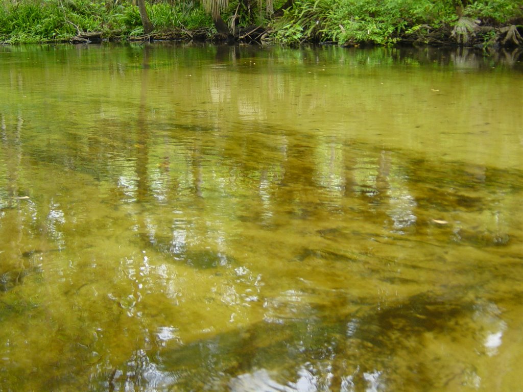 Rock Springs Run Water