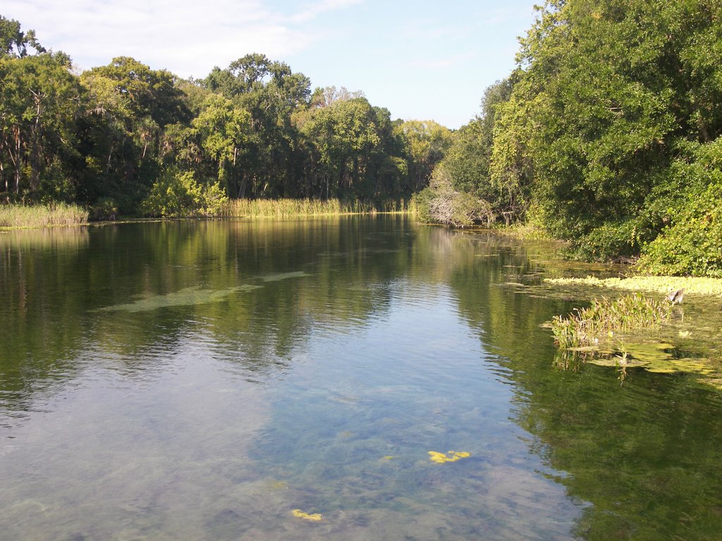 Wekiwa Springs State Park