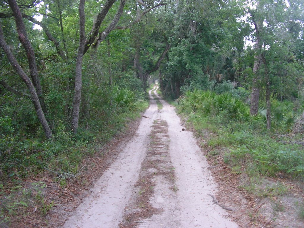 Wekiva State Park Trail