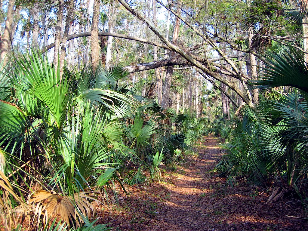 Wekiwa Springs State Park