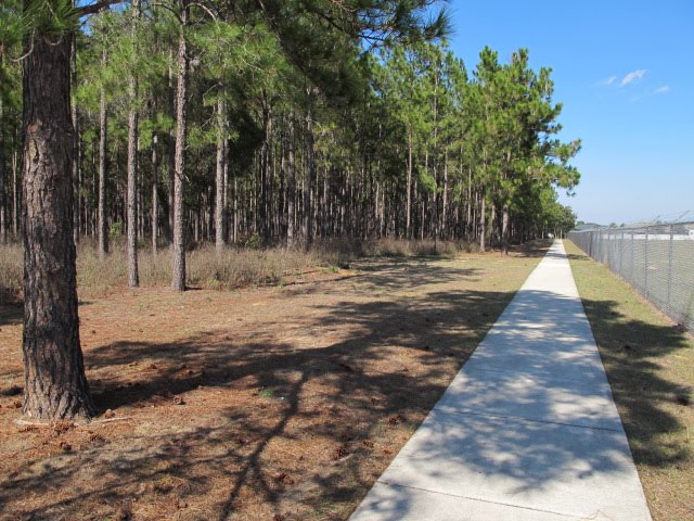 Walking Path, Apopka, FL