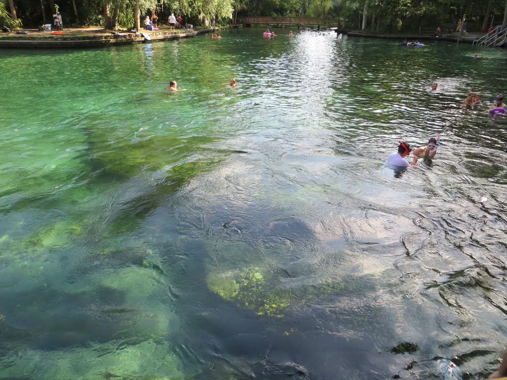 Wekiwa Springs State Park (07/2012)