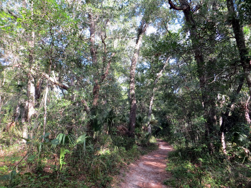 Wet to dry nature trail (07/2012)