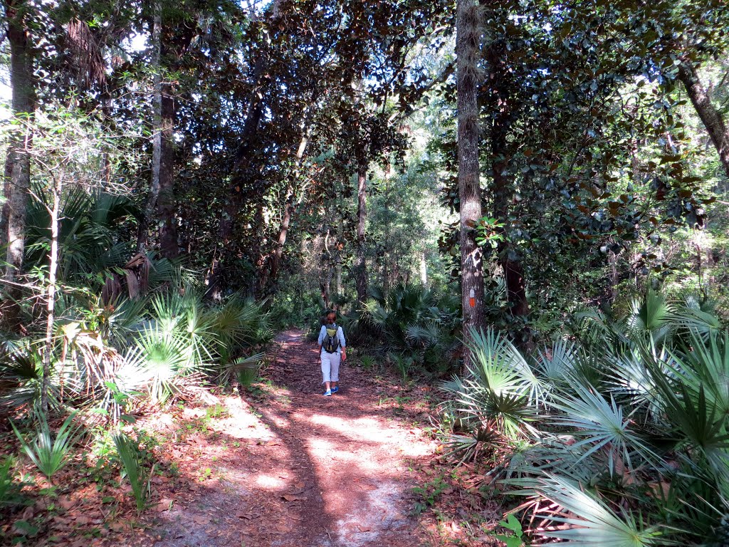 Wet to dry nature trail (07/2012)