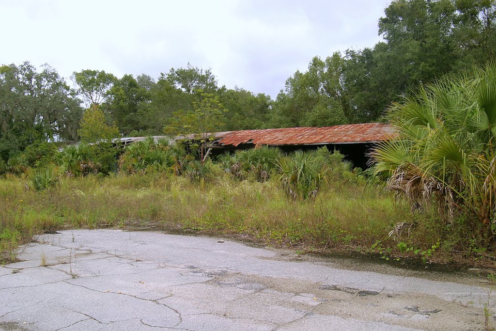 Mad Marion McDonalds garage