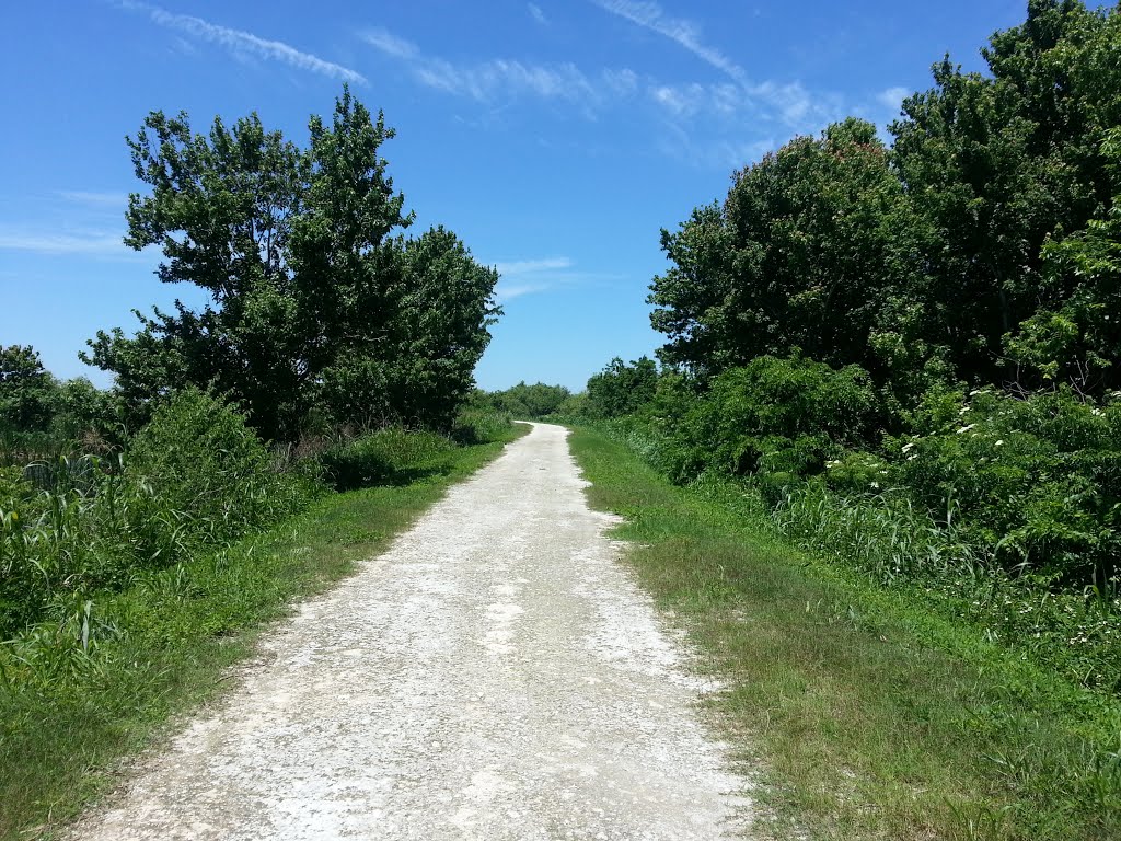 Lake Apopka Trail Loop