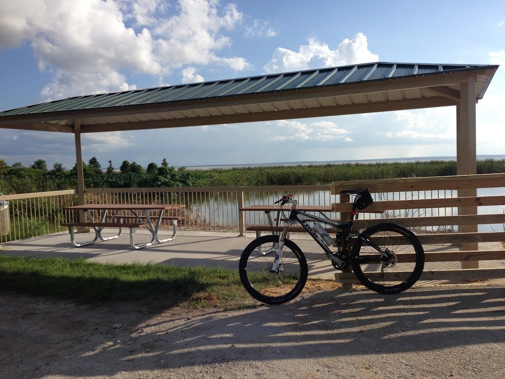 Lake Apopka Trail Loop - Picnic Area