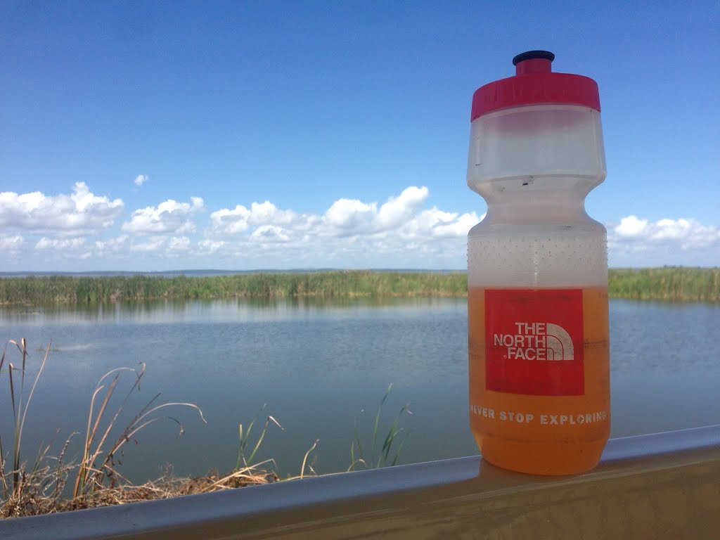 Lake Apopka Picnic Area
