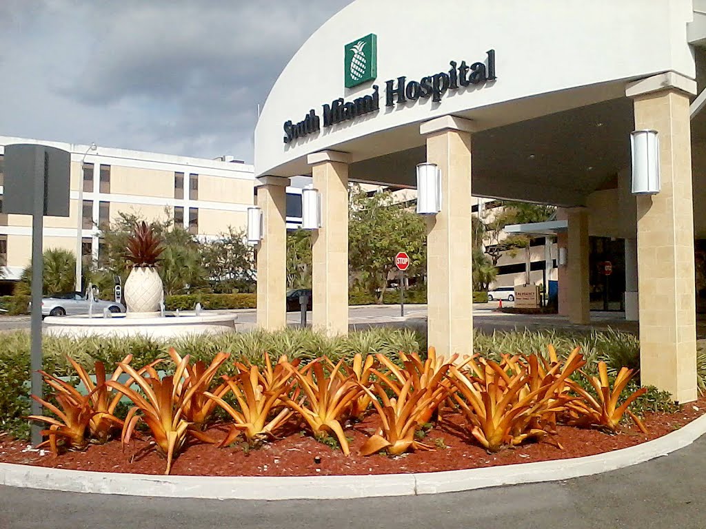 South Miami Hospital entrance, FL (2013)