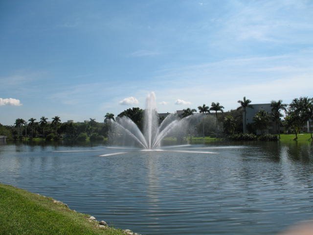 The lake