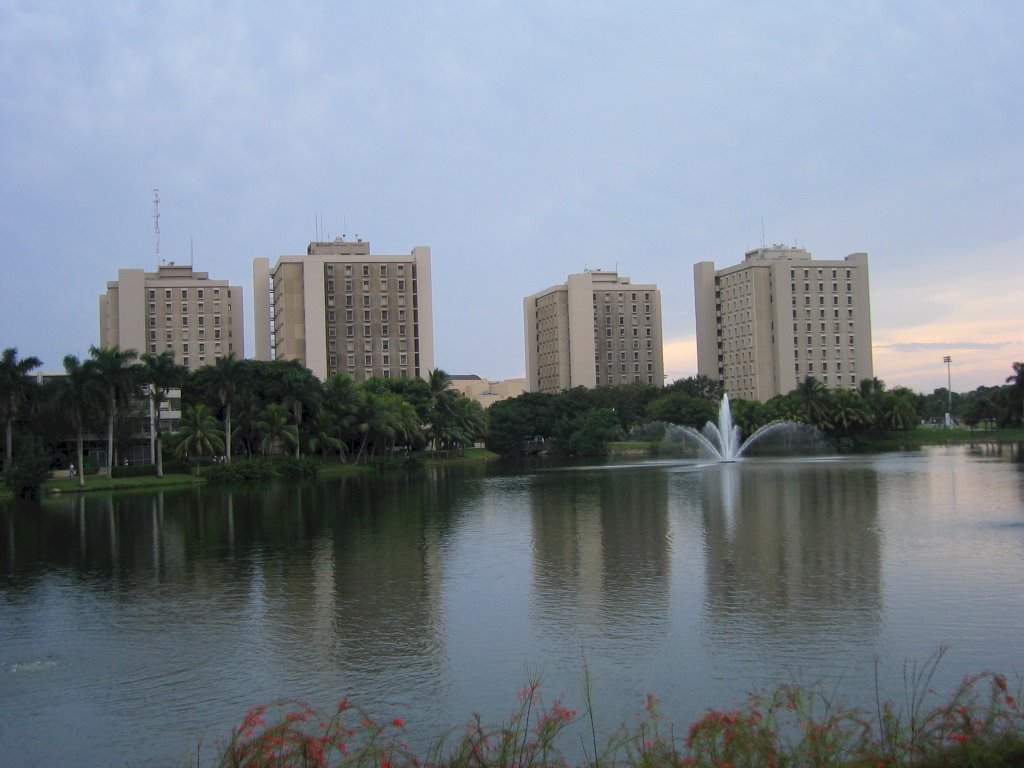 University of Miami