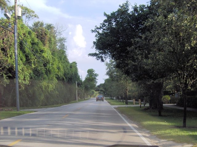 Ludlam Rd ( Pinecrest )