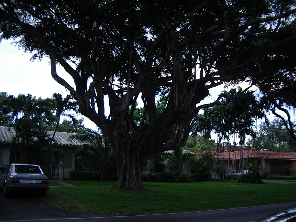 Coral Gables
