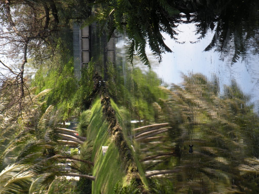 Sometimes rotating a picture spoils it