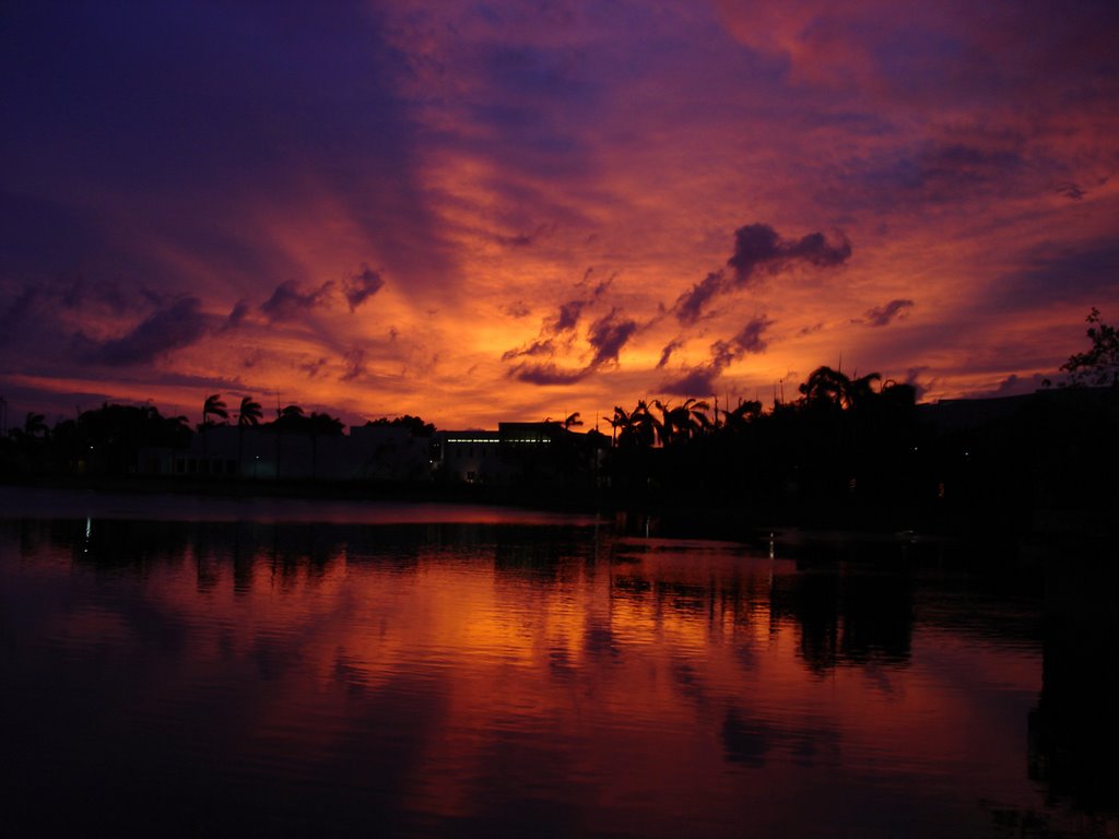 UMSunset