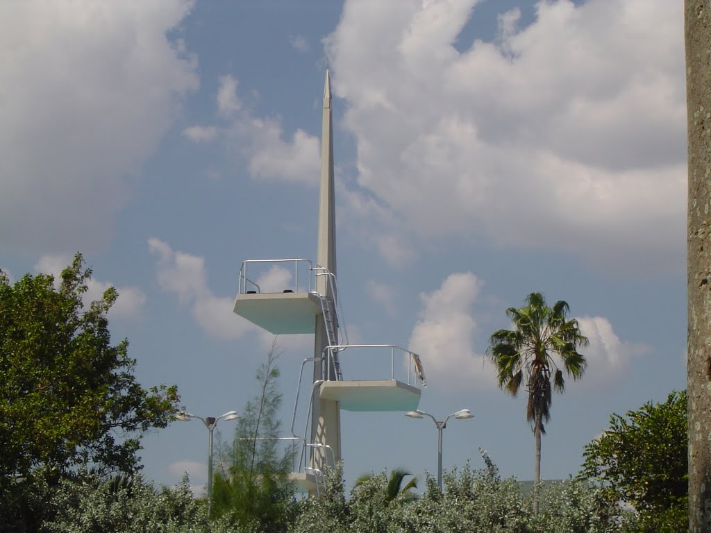Torre de Trampolines en la Piscina de la Universidad de Miami