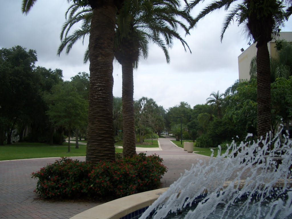 GARDEN UNIVERSITY MIAMI ( UM)