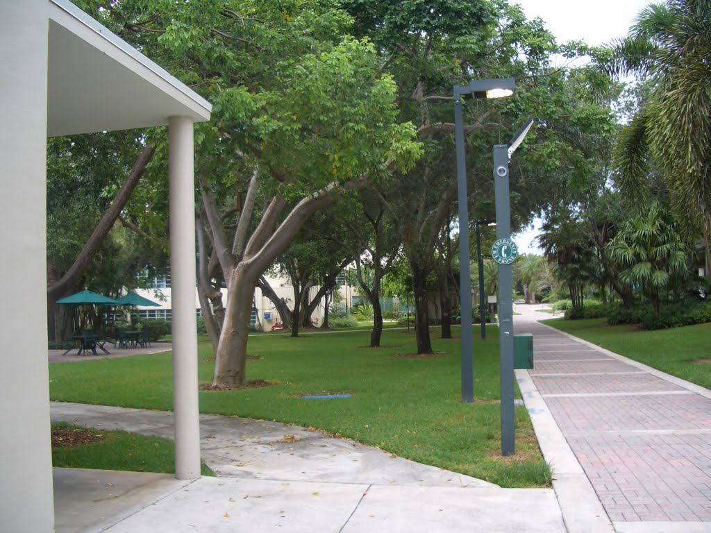 MIAMI UNIVERSITY AREA GARDEN