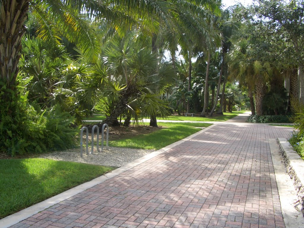 WELL MAINTAINED GARDENS.UNIVERSITY OF MIAMI IN CORAL GABLES CITY