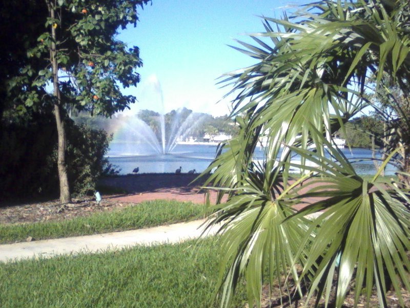 umiami lake