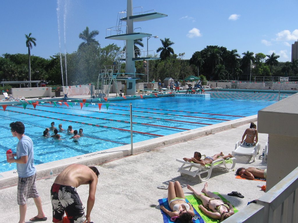 Univerity Of Miami Pool