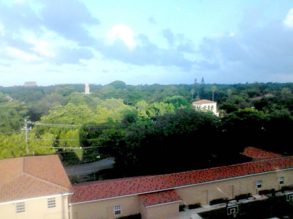 Landscape looking SE from Coral Gables, FL (2013)