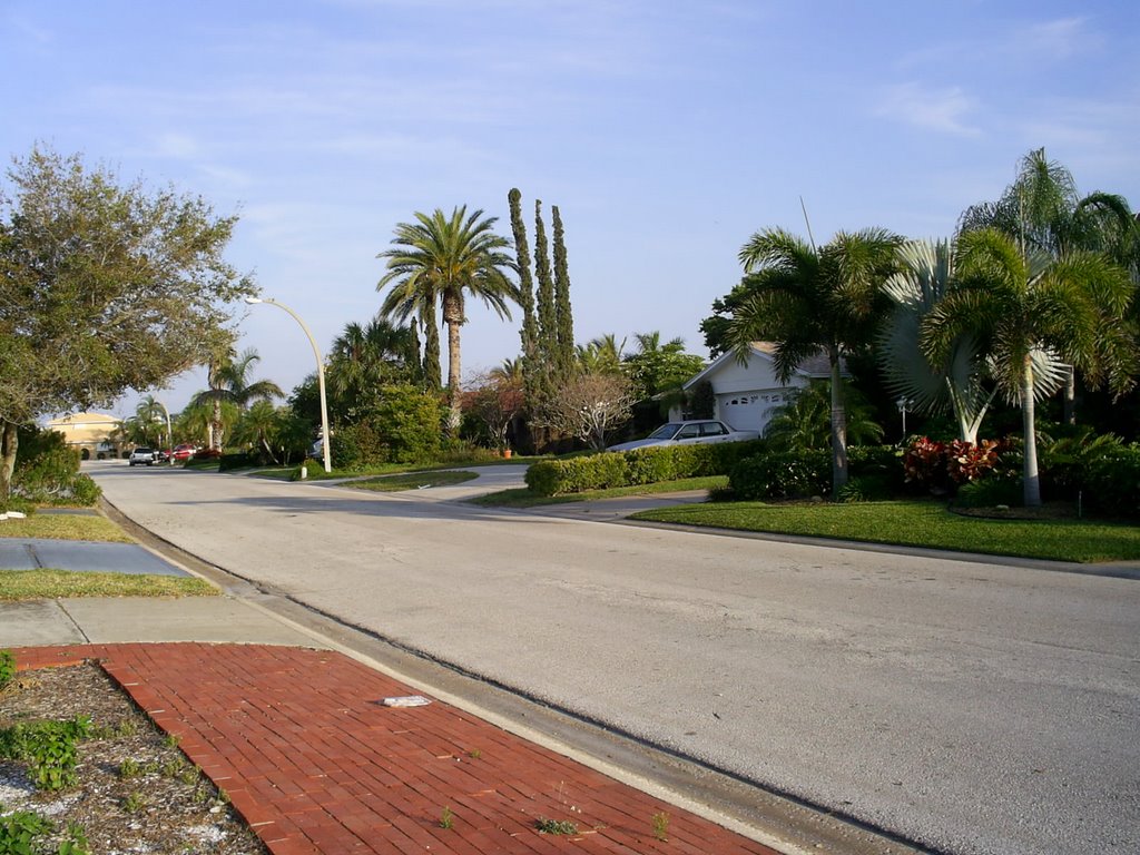 Street on Treasure Island