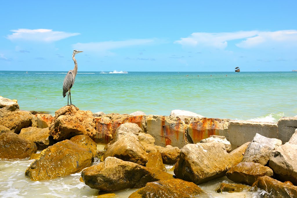 TREASURE ISLAND, FL