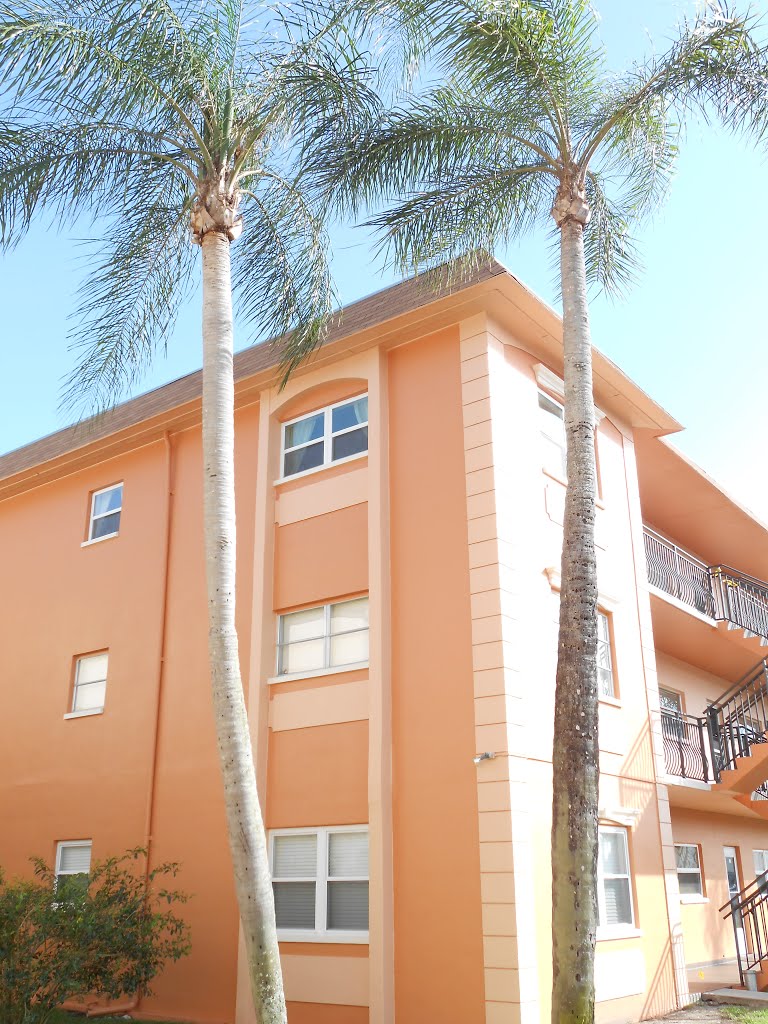 Parc Vendome II Condominiums - St Petersburg Florida