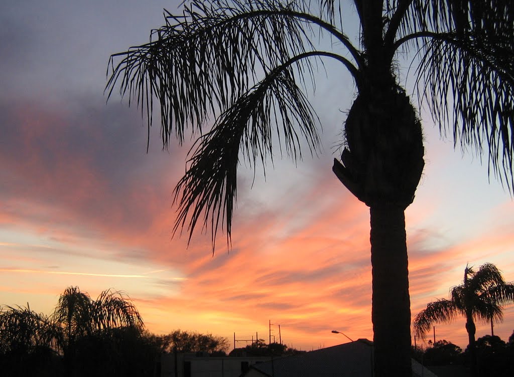 Sunset in St. Petersburg Florida