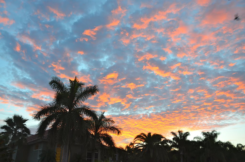 GULFPORT, FL