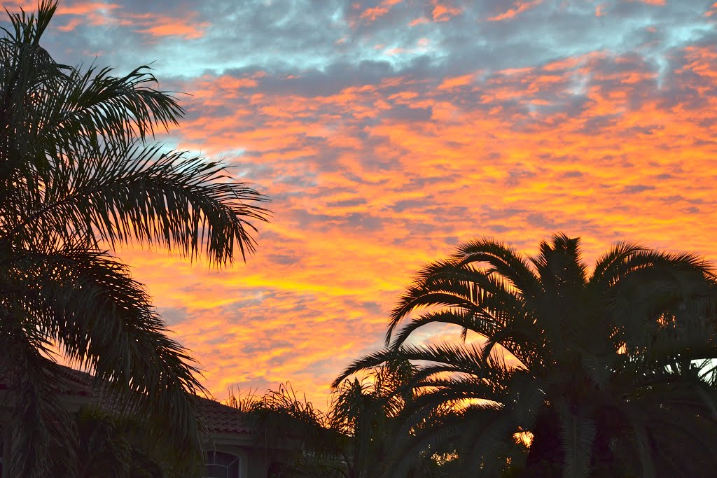 GULFPORT, FL