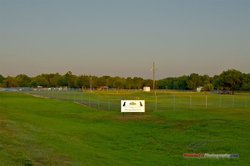 Mango Dog Park, Seffner, FL Looking East SE