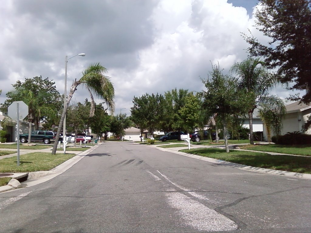 Brandon - FL - Looking NW